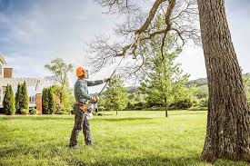 Best Tree Mulching  in South Lockport, NY